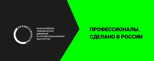Профессионалы 2026 1