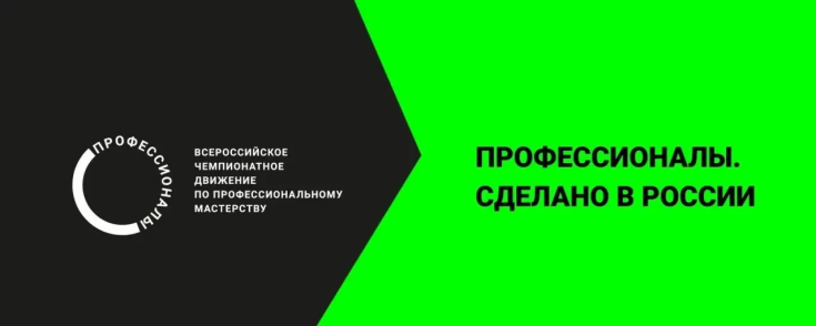 Профессионалы 2026 1